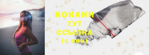 дурь Вяземский